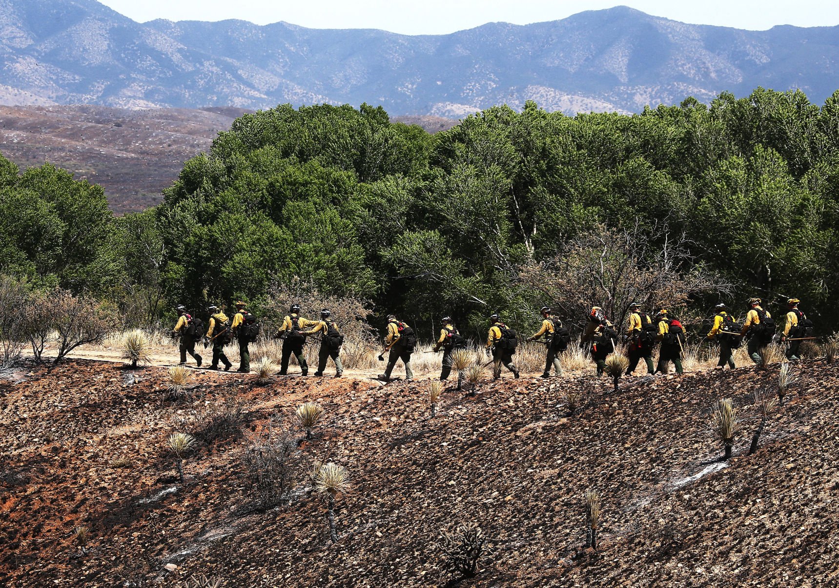 Sawmill Fire